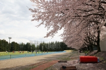 桜練習風景３枚