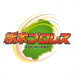 プロスポーツチームロゴ２